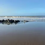 Ruim Zonnig Op 50m 公寓