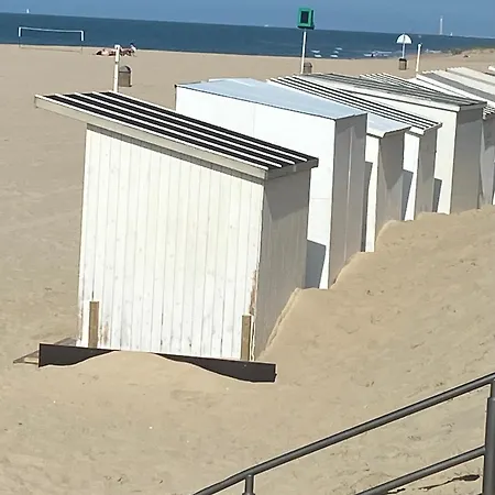 Ruim Zonnig Op 50m Ostend