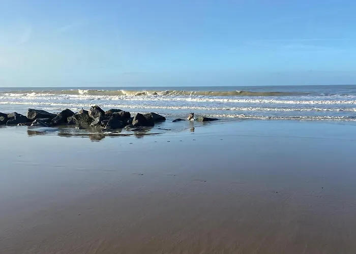 Ruim Zonnig Op 50m Appartement