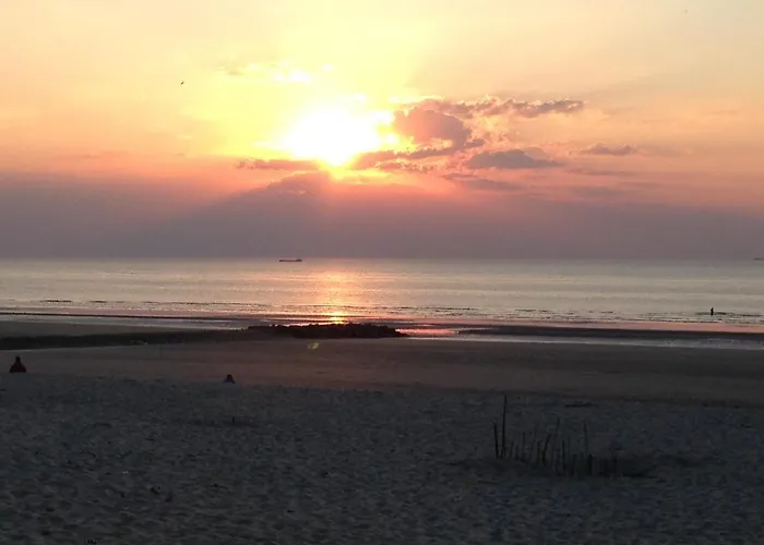 Ruim Zonnig Op 50m Appartement
