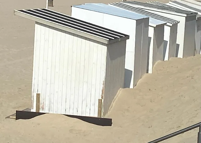 Ruim Zonnig Op 50m Oostende